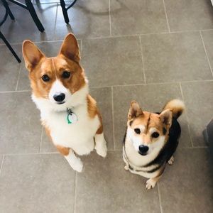 Meet your Posher, Elaine